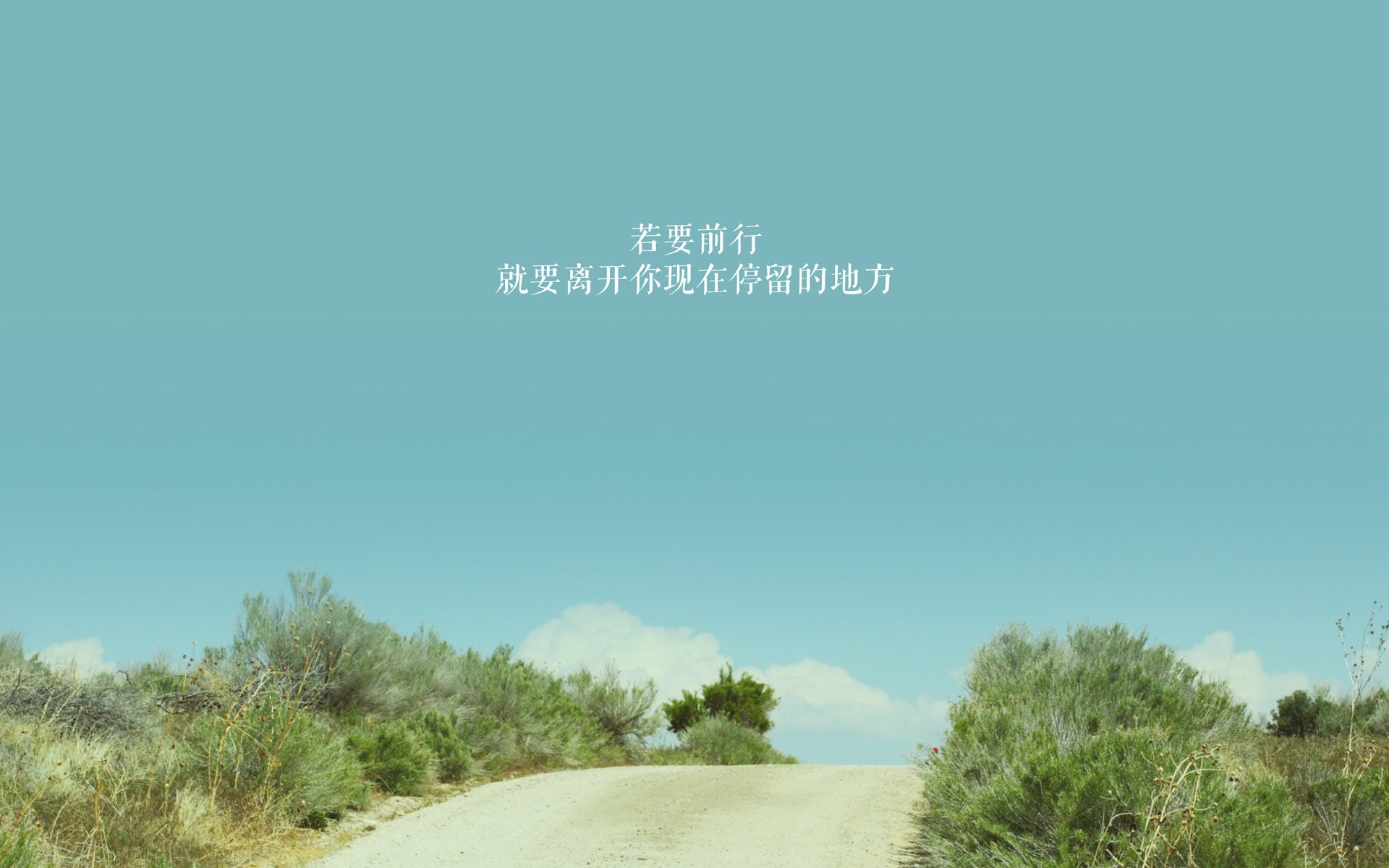 世界乒坛明星教练国际巡讲第17季城市名单公布,世界乒乓球一姐